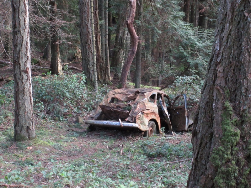 An old car that either ran off the road or was disposed by pushing down into the weeds some time ago