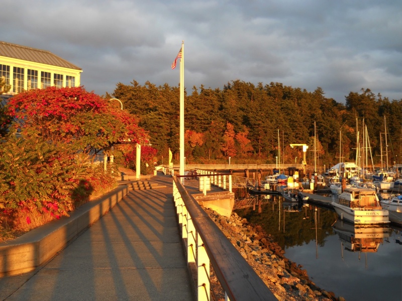 Anacortes Cap Sante Boat Haven October 2011