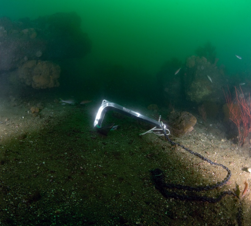 Anchor