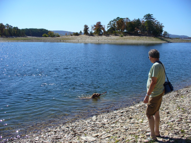 Anchorage #3 Lake Ouachita.
