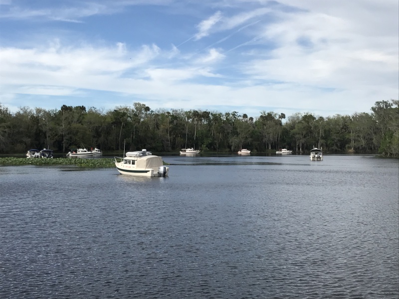 Anchored in Butchers Bend