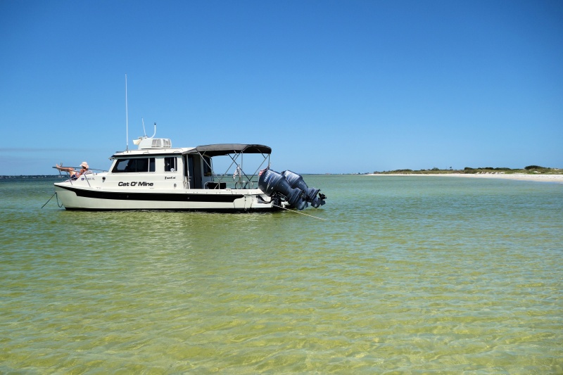 Anchored in knee deep water in Pensacola Bay, off Gulf Islands natl seashore, Ft Pickens area