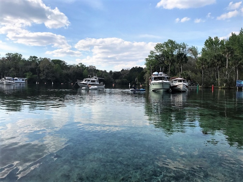 Anchored in Silver Glen Springs.