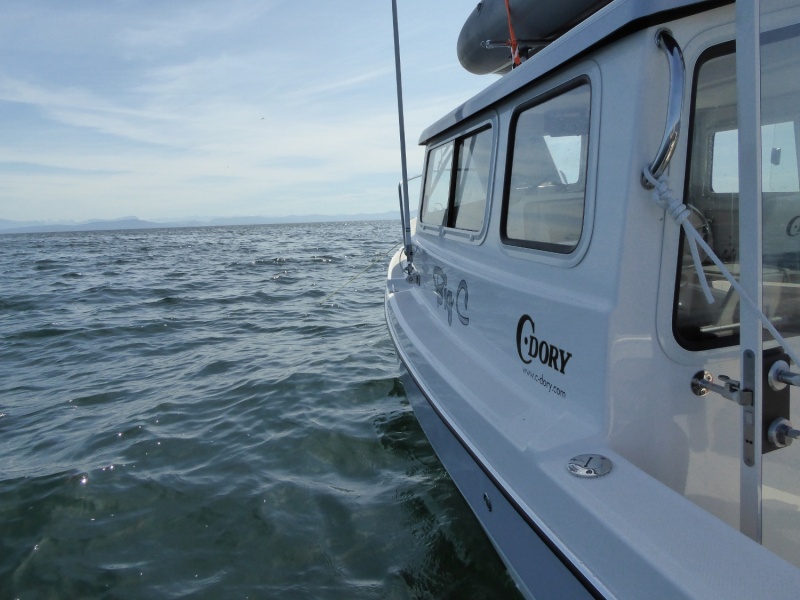 Anchored on the bar, waiting out the waves, no point in rushing it