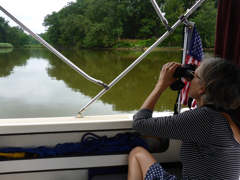 anchored up the bohemia river
