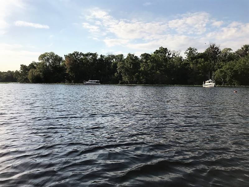 Anchoring behind Seven Sisters Islands near Palatka