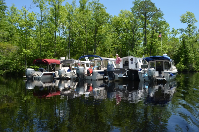 Anchoring out on the \"not so dismal\" swamp