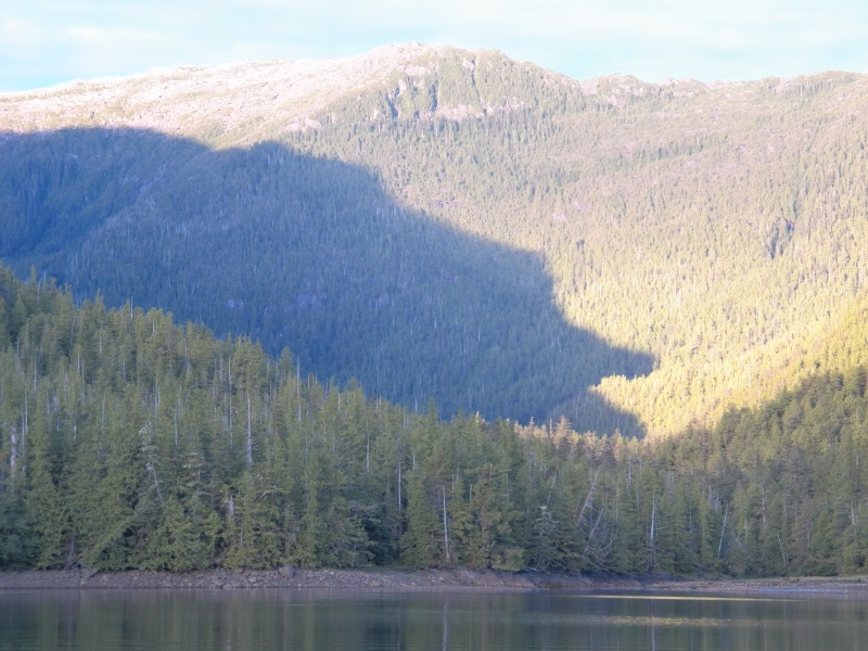 And we saw the bear of Laredo Inlet.