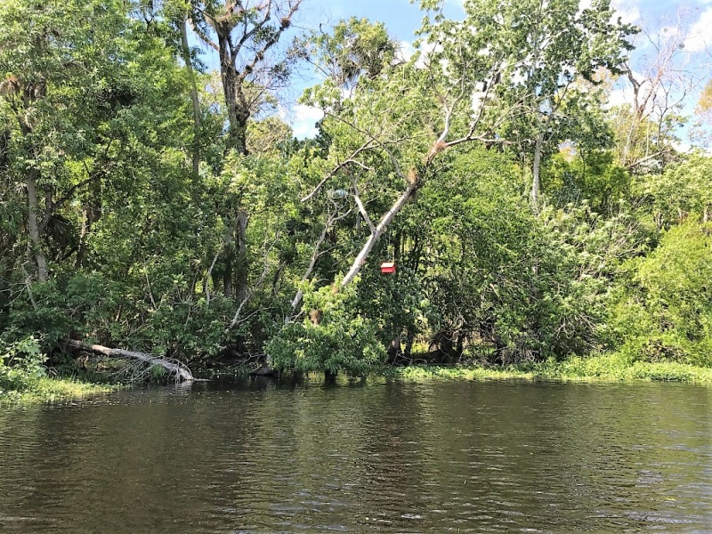 Another birdhouse along Blue Creek.