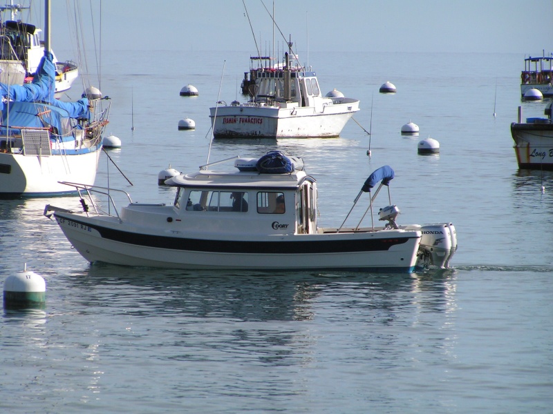 Another C-Dory comes in