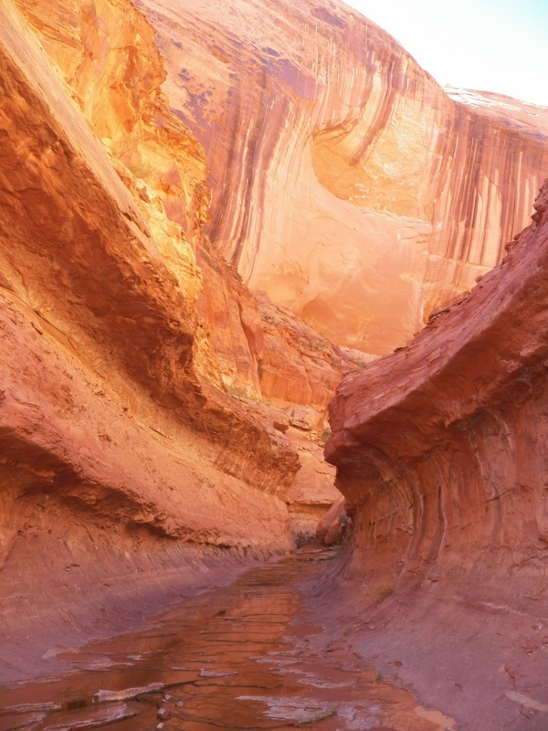 Another canyon hike.
