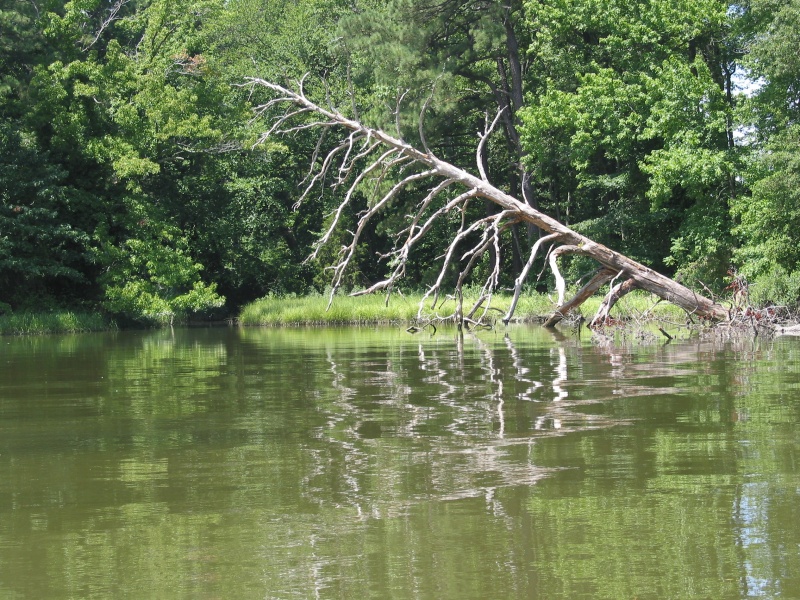 Another Great Chesapeake Gunkhole