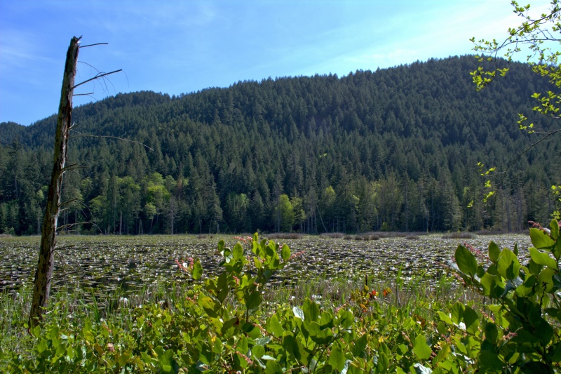 Another look at Duck Lake on the way back to Eagle Harbor