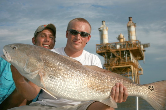 Another nice redfish.