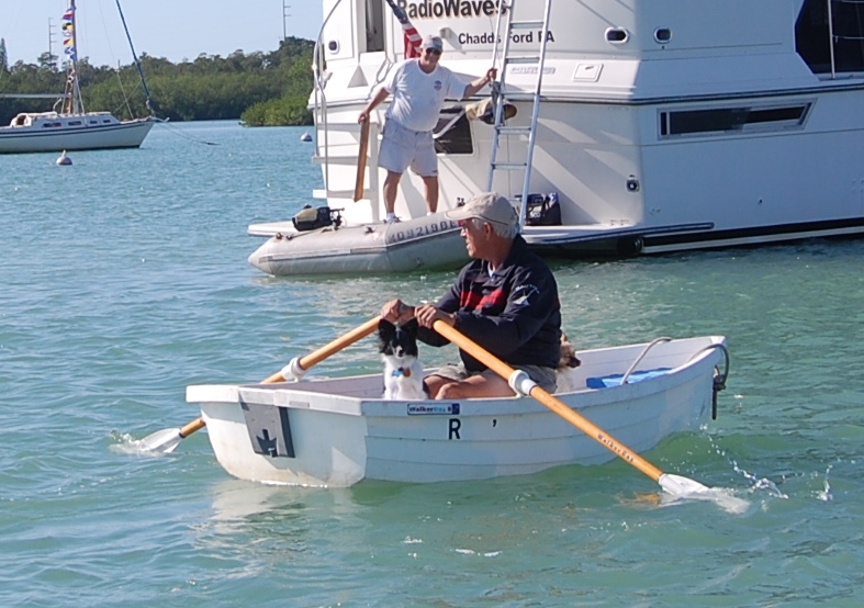 Another Puppy Run to Shore