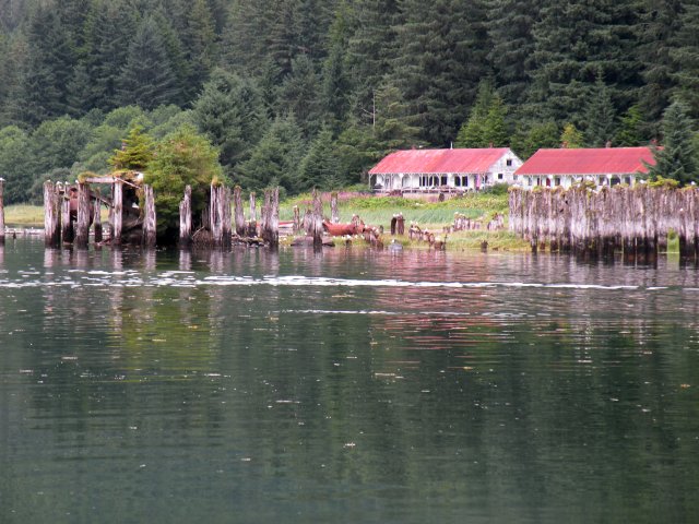 Another view of cannery ruins