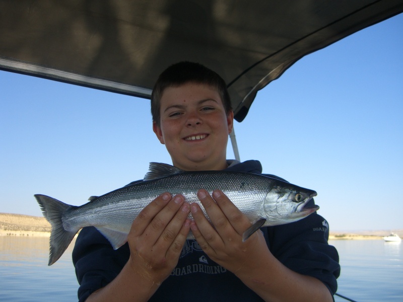 Another Wyatt Koke