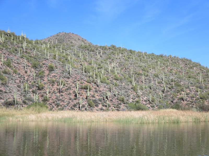 Apache Lake