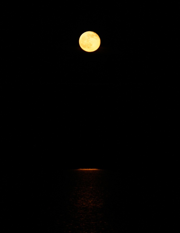 Apalach Moon reflected in the water. Zoom in to see the beautiful reflection