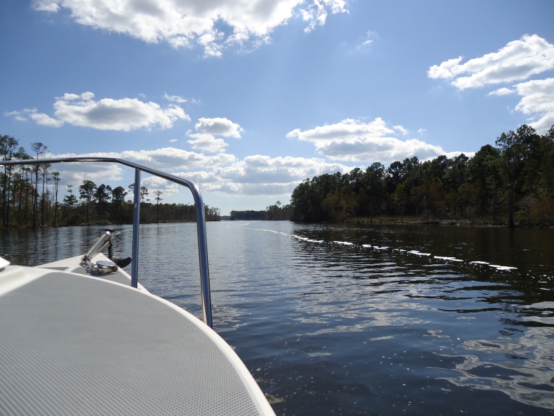 Apalachicola River