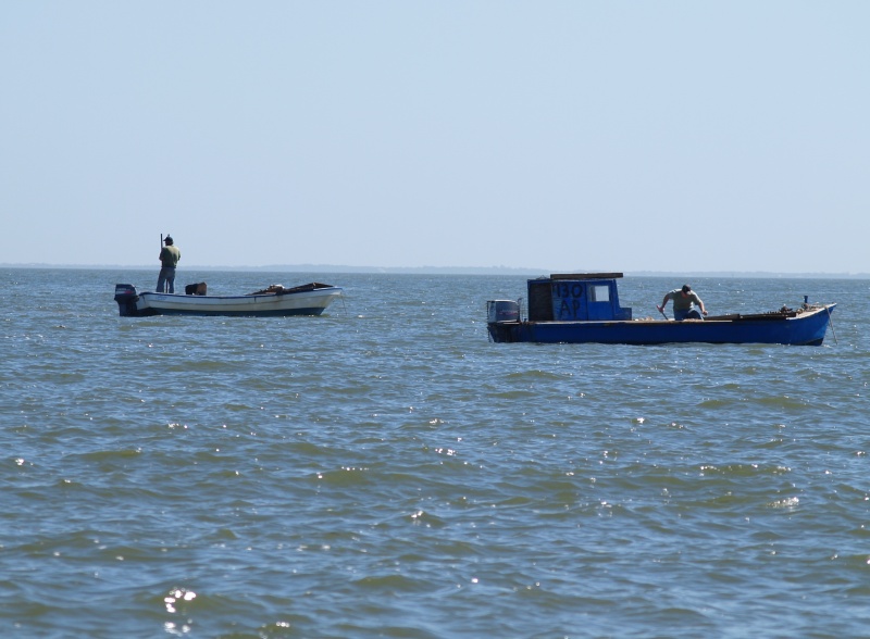 Apalachicola supplies 80% of Florida's oysters. Here are two of the oystermen.