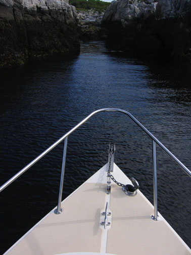 Appledore Basalt Dyke