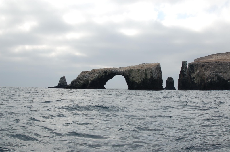 Arch Rock -- East Anacapa.
