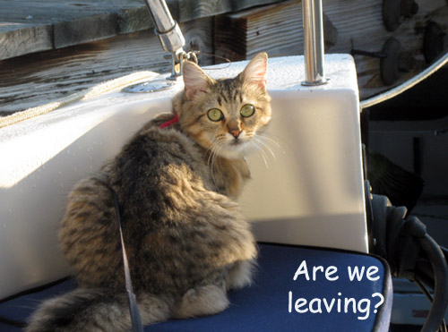 Are we leaving?