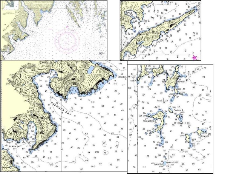Area chart and sectional of the Kenai Fjords and Ressurection Bay Area.
