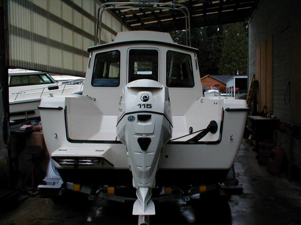 At higher cruising elevations the E-Tec 115 will provide adequate power.