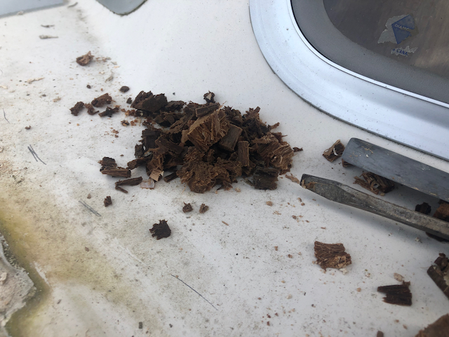 At least the water logged coring was easy to remove.