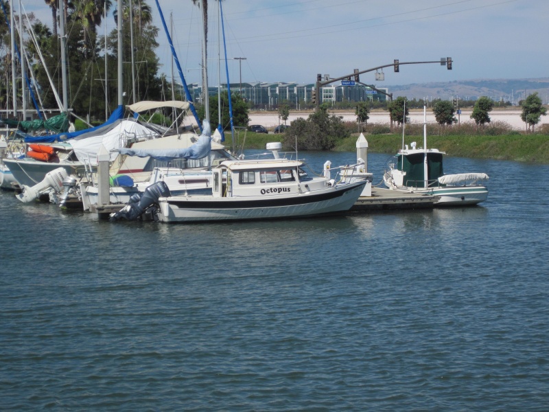 At RWC marina 2