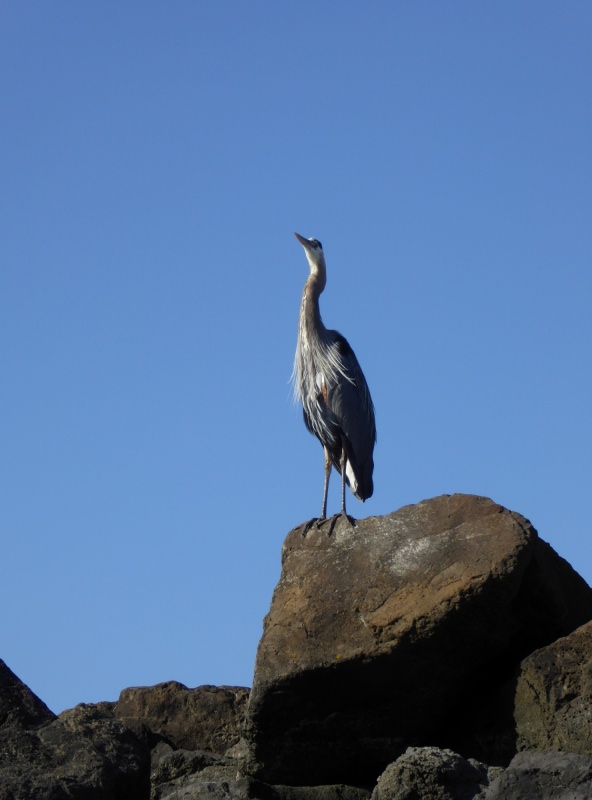 At the entrance to the marina