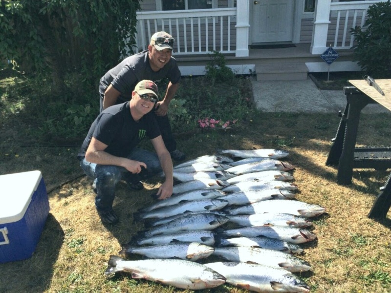 Atlantic Salmon 2