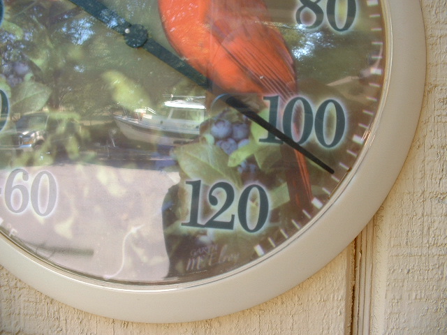 Aug 11, 2007. This is why we didn\'t go anywhere this weekend.