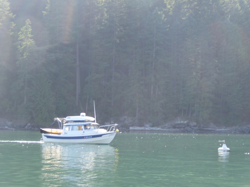 Aug 20, 2017 - Just as I set loose from my buoy in Eagle Harbor, I looked up and saw another 22 coming in to grab it!