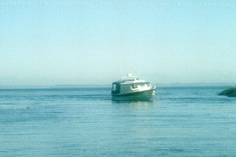 Aug 2006 
Near Matia Island 
   WILD BLUE