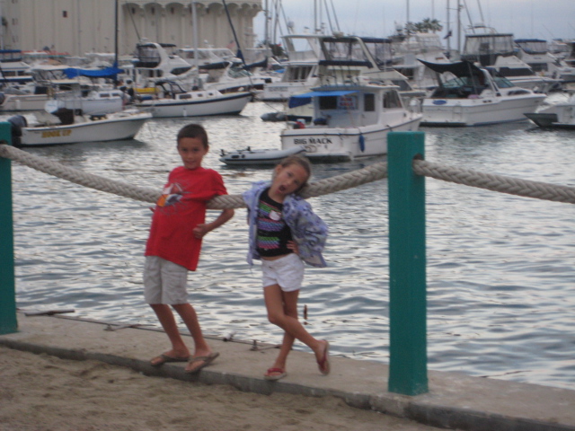 Avalon Harbor 2009