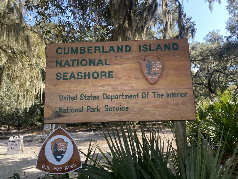 Awesome place. Always thought the remaining wild horses were out west...I was wrong