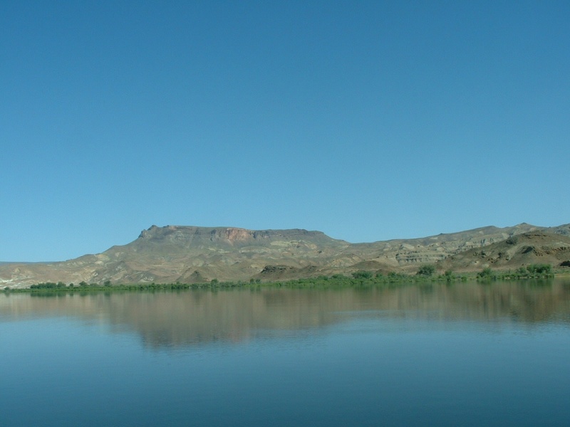 (B~C) there is some vegatation to be found in the high desert