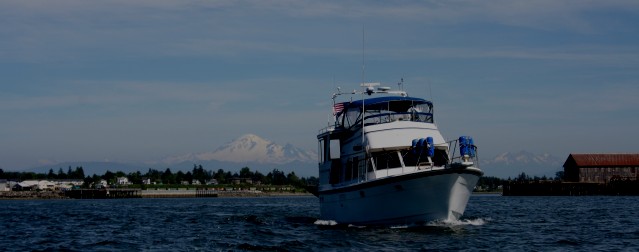 B1 04