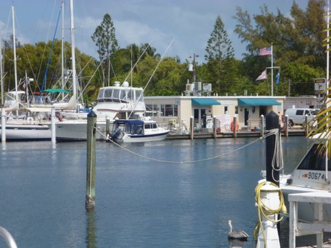 Baby Boat
