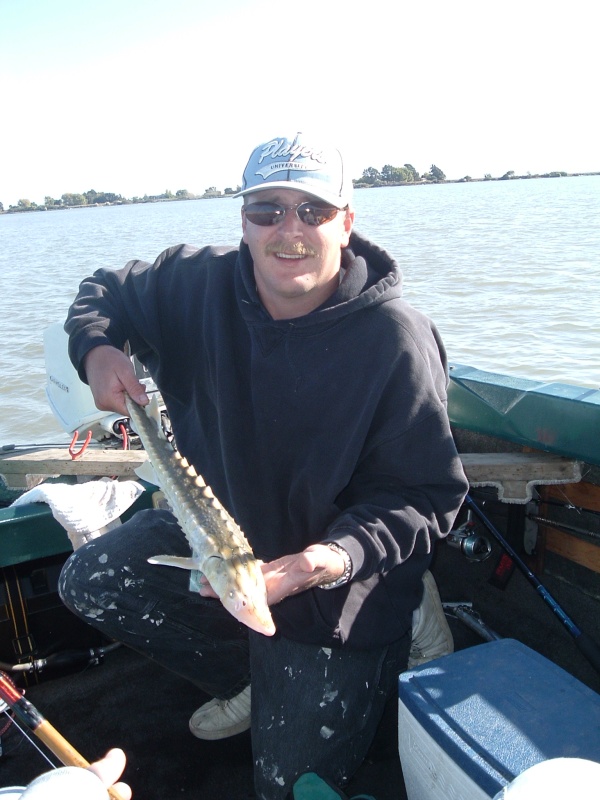 Baby Green Sturgeon