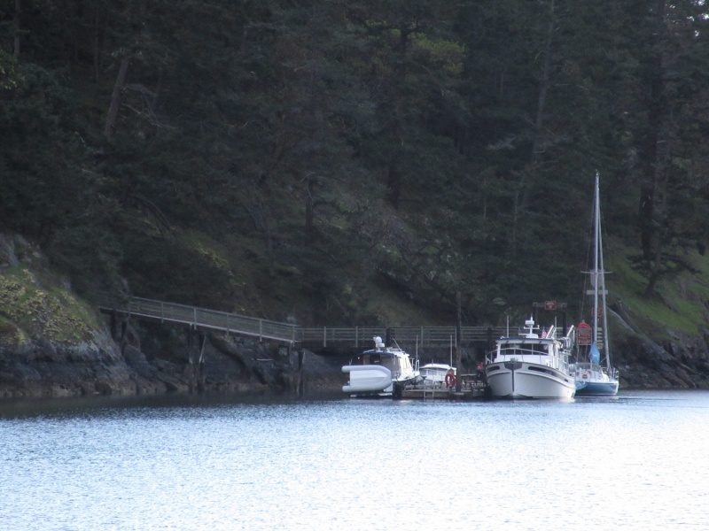 Back at Reid Harbor around 7:30