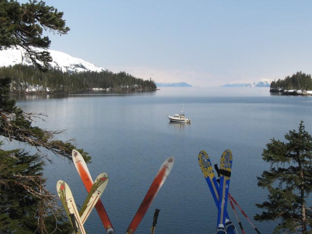 Back at the Cabin