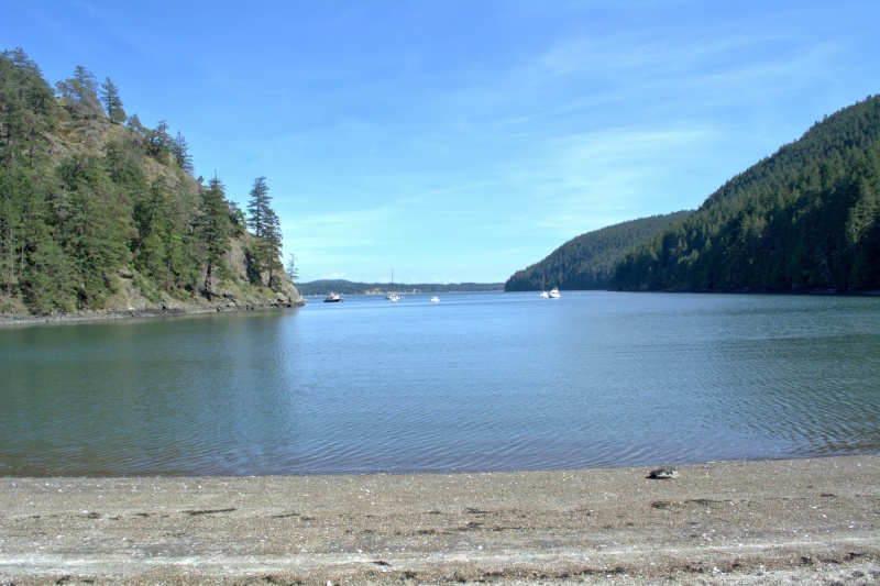 Back down at Eagle Harbor, the tide has come in