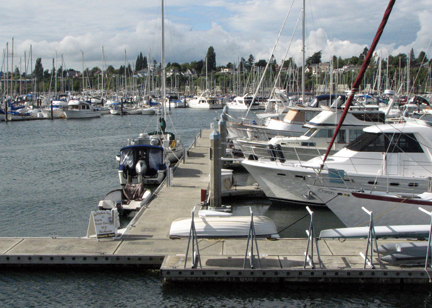 Back in Bellingham