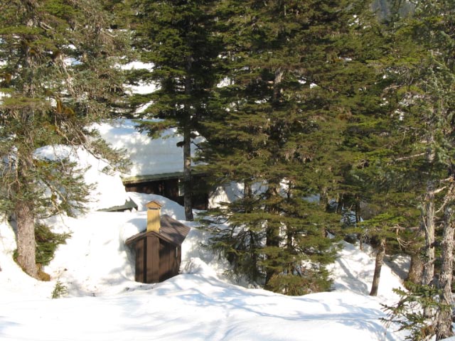 Back of the Outhouse
