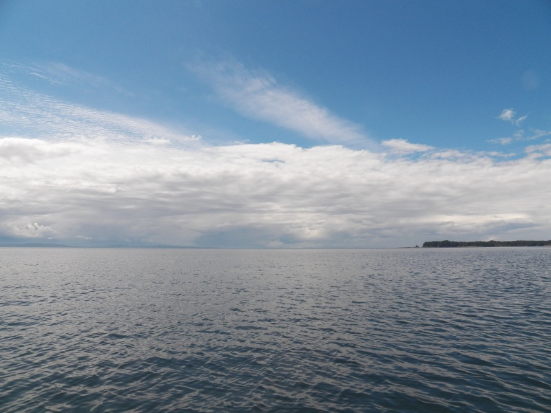 Back out through Wells Passage and into Queen Charlotte Strait.  Looks like a good day to go north.