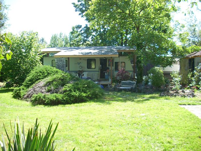 backyard bungalo.   shady and dry.
